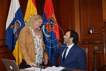 Pleno del Ayuntamiento correspondiente a enero de 2020 (Foto TA)